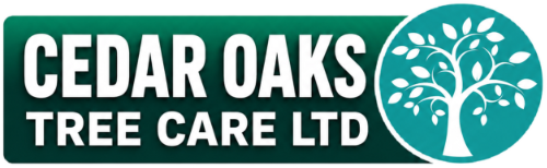Arborists in Cheshire